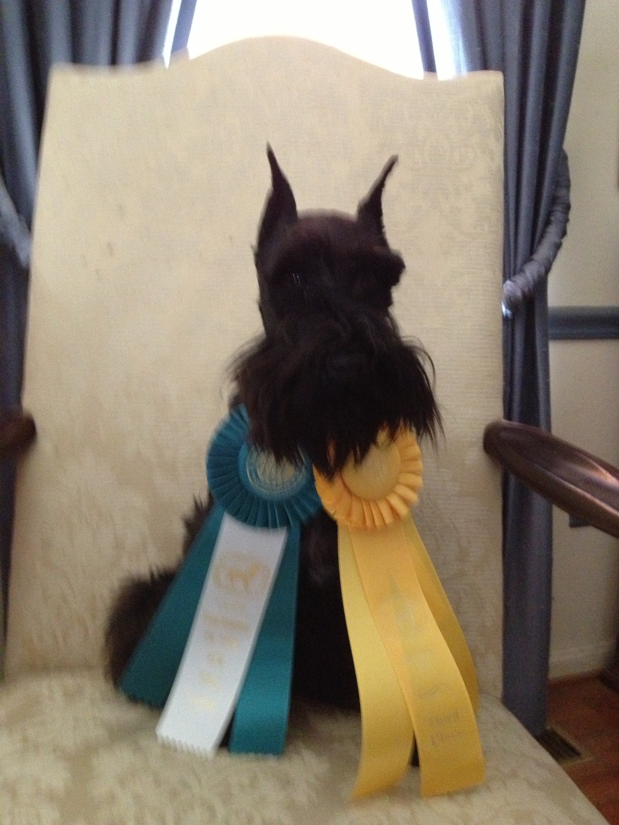 rudywins1